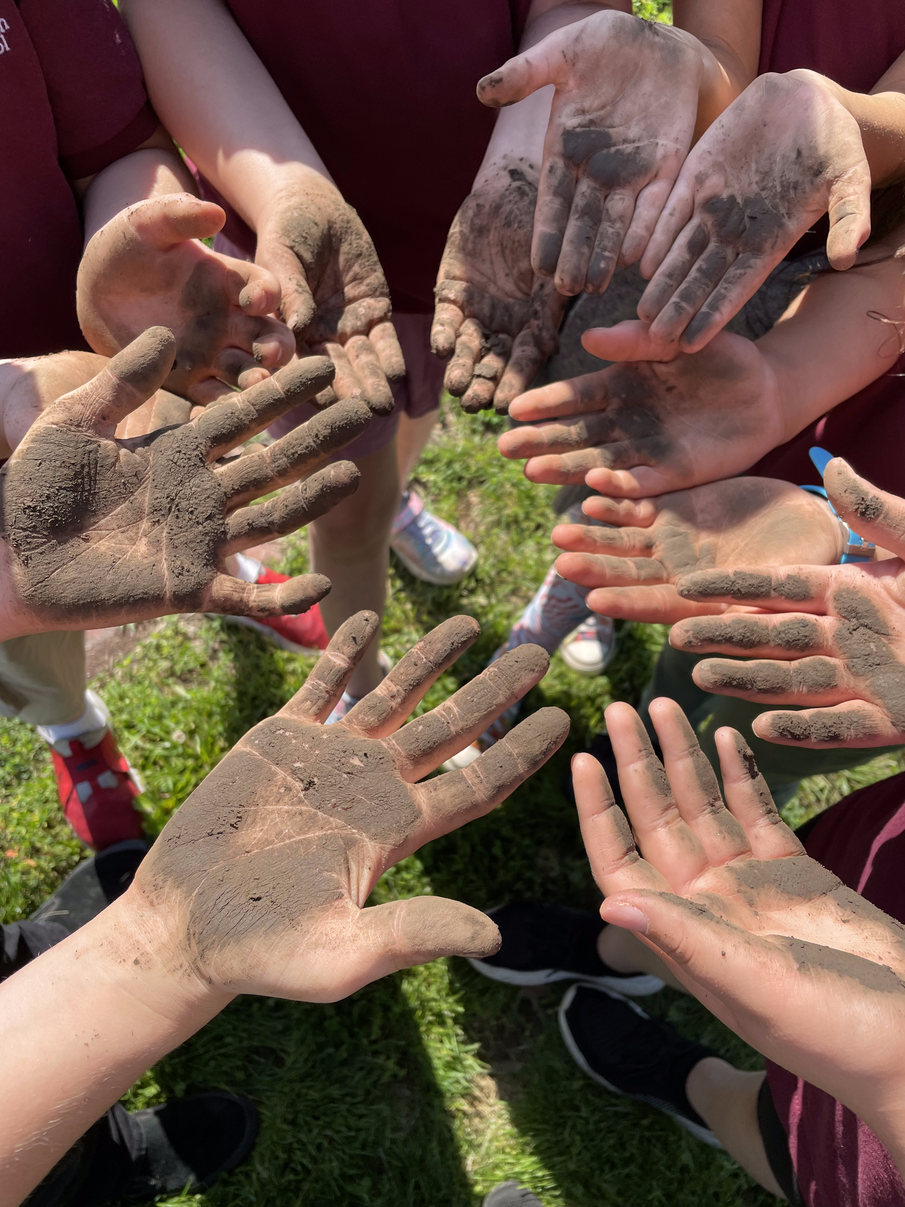 A shot taken from above of six student's dirt-covered hands as they stand in a circle.